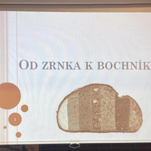 Ekocentrum Vlašim - 2. ročník